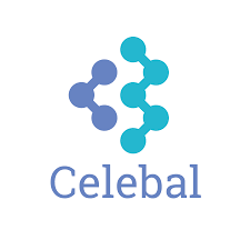 CELEBAL TECHNOLOGIES PRIVATE LIMITED